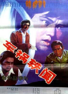 车祸轶闻News About Traffic Accidents