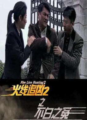 火线追凶2之不白之冤