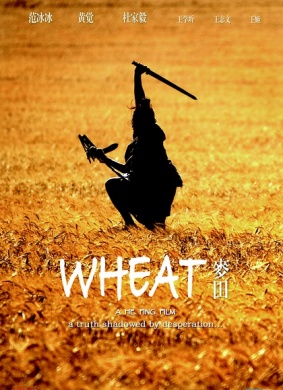 麦田Wheat