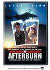 F16空难记Afterburn
