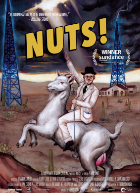 坚果！NUTS!