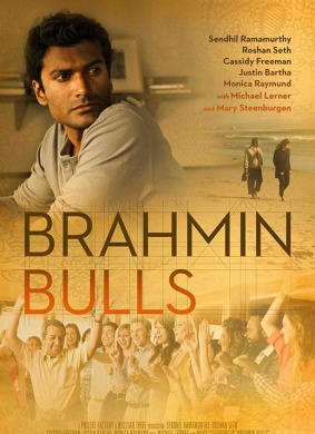 婆罗门的公牛Brahmin Bulls