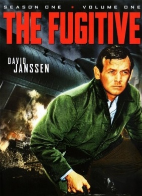 亡命天涯The Fugitive